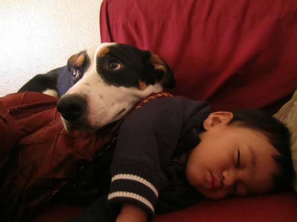 Φωτογραφίες που αποδεικνύουν πως οι σκύλοι είναι οι καλύτεροι φίλοι των παιδιών (10)