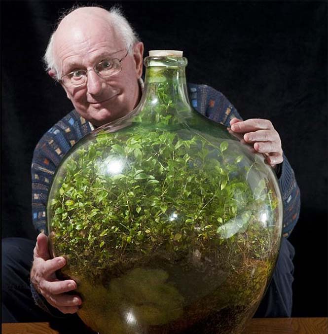 80χρονος διατηρεί «αθάνατο» φυτό σε σφραγισμένο μπουκάλι από το 1972 (1)