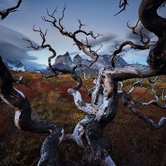 Εκπληκτικές φωτογραφίες του National Geographic στο Instagram (5)