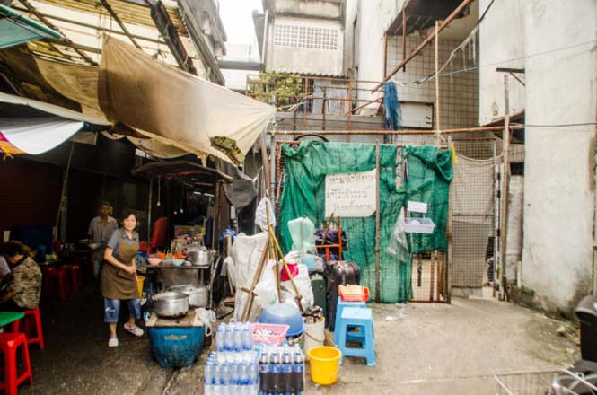 Εγκαταλελειμμένο εμπορικό κέντρο στην Μπανγκόκ απέκτησε τους πιο παράξενους νέους κατοίκους