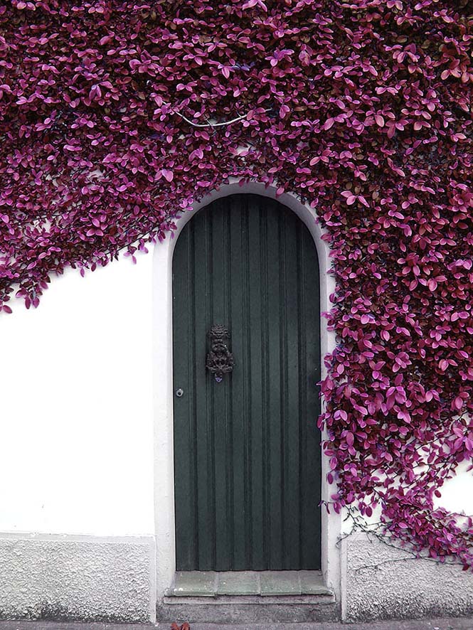 Υπέροχες πόρτες (12)