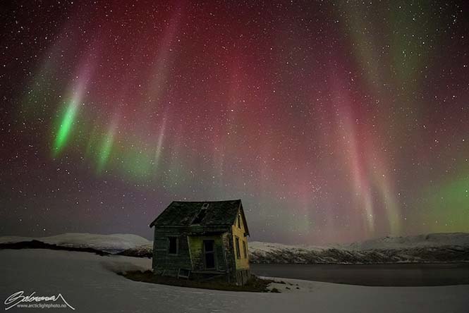 Το Βόρειο Σέλας σε εκπληκτικές φωτογραφίες από τη Νορβηγία (8)