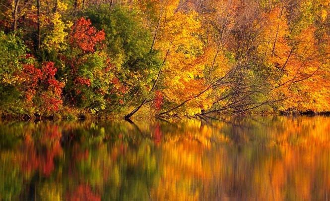 Όλο το χρωματικό φάσμα του Φθινοπώρου σε εντυπωσιακές φωτογραφίες (8)