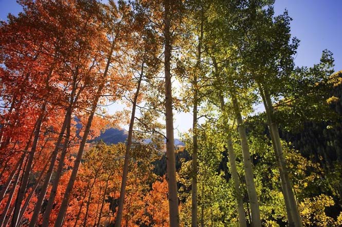 Όλο το χρωματικό φάσμα του Φθινοπώρου σε εντυπωσιακές φωτογραφίες (10)
