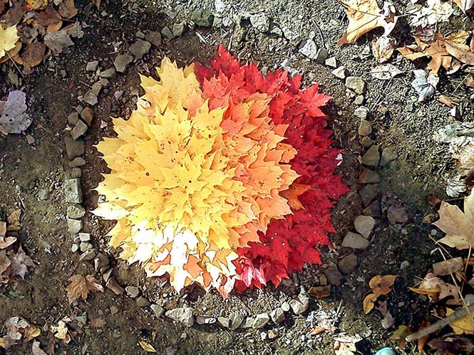Όλο το χρωματικό φάσμα του Φθινοπώρου σε εντυπωσιακές φωτογραφίες (22)