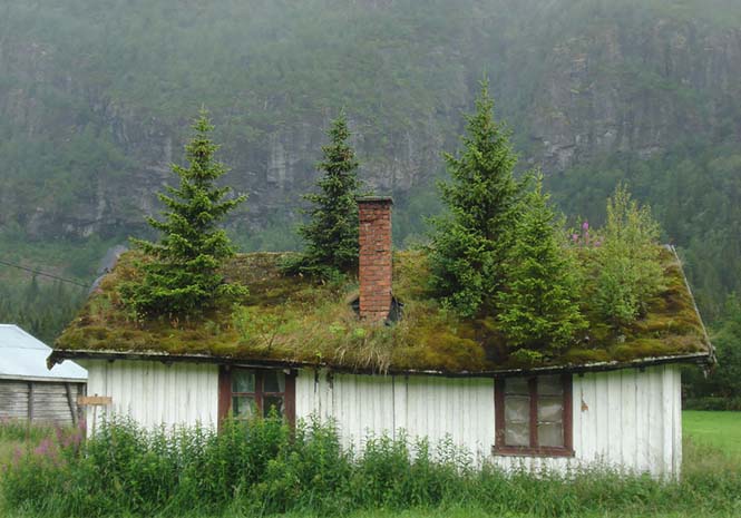 Φωτογραφίες που αποδεικνύουν πως η Νορβηγία είναι βγαλμένη από παραμύθι (10)