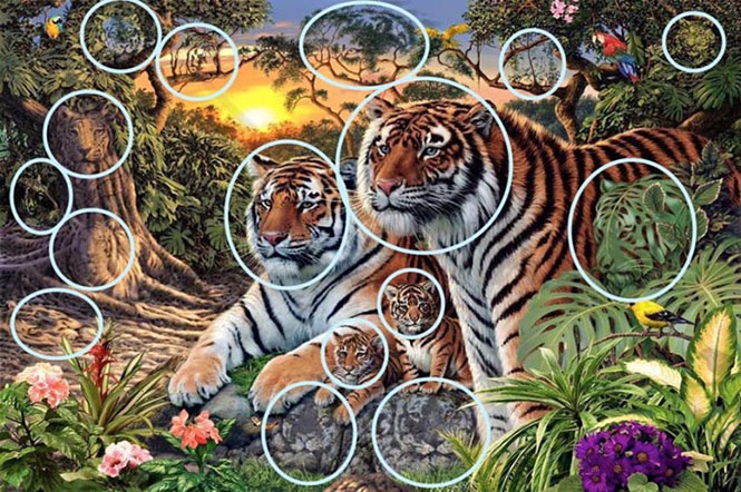 Πόσες τίγρεις μπορείτε να εντοπίσετε στη συγκεκριμένη εικόνα; (2)