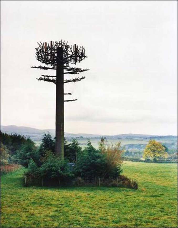 Νομίζετε πως πρόκειται για ένα δένδρο; Κοιτάξτε πιο προσεκτικά... (16)