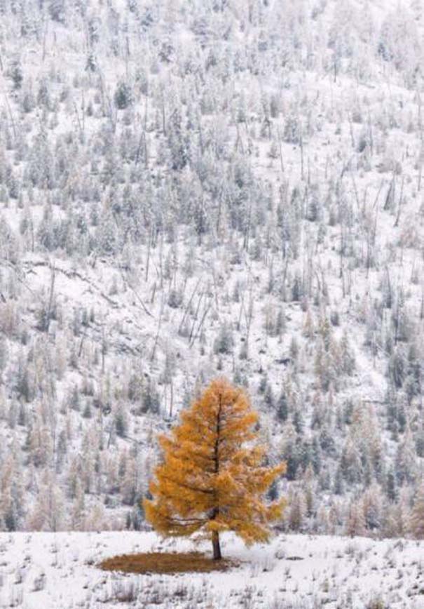 Ο χειμώνας σε 22 μαγευτικές φωτογραφίες (3)