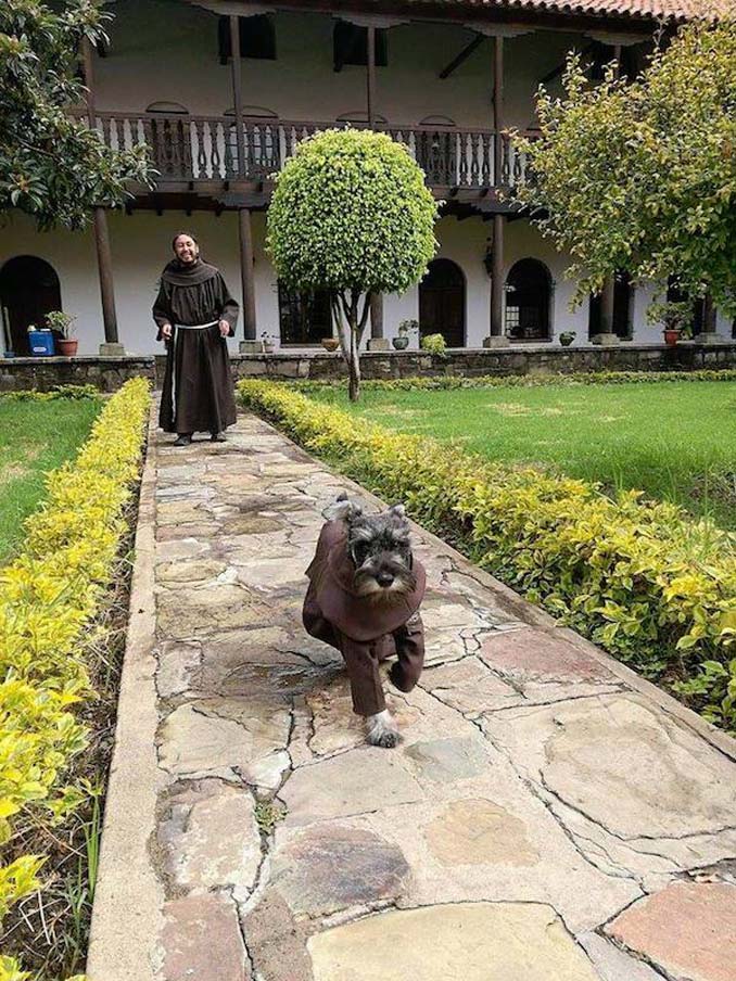 Μοναστήρι υιοθέτησε σκύλο (6)