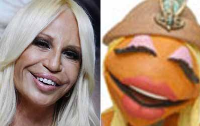 Διασημότητες που μοιάζουν με περίεργα πλάσματα/ Donatella Versace - Janice the Muppet