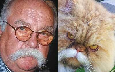 Διασημότητες που μοιάζουν με περίεργα πλάσματα/ Wilford Brimley - Diabeetus Cat