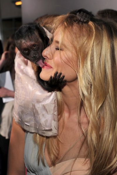 Η Kristen Bell και η τυχερή μαϊμού (3)
