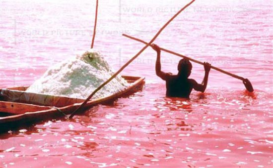 Ροζ λίμνη στη Σενεγάλη (1)
