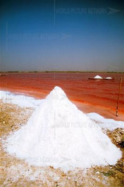 Ροζ λίμνη στη Σενεγάλη (15)