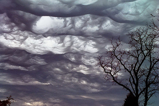 Μετεωρολόγοι αναγνώρισαν νέο σχηματισμό σύννεφων (9)
