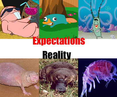 Προσδοκίες vs πραγματικότητα (11)