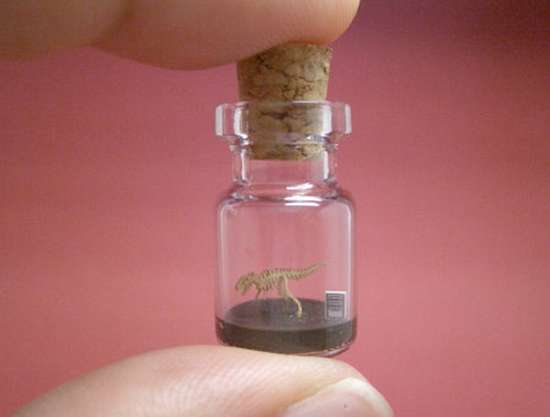 Γλυπτά μινιατούρες σε μικροσκοπικά μπουκάλια (5)