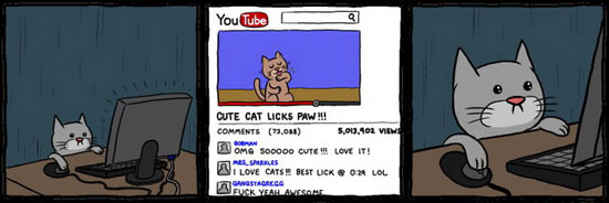 Μια γάτα που ήθελε να γίνει σταρ του YouTube (1)