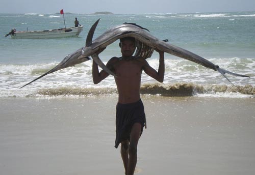 Ψαράδες στη Σομαλία (7)