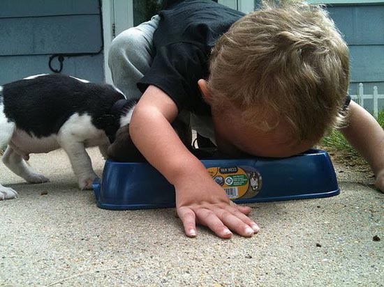 Ένα αγοράκι μαθαίνει στον σκύλο του να τρώει... (2)