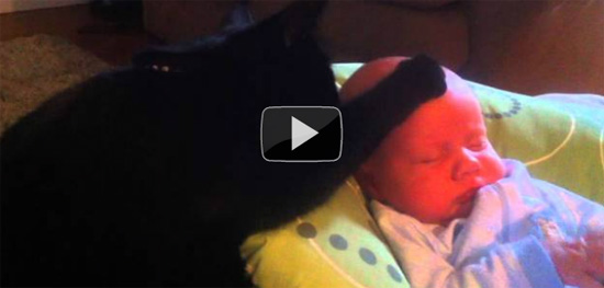 Γάτα υπνωτίζει μωρό που κλαίει