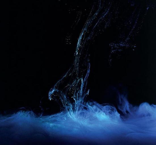 Καταπληκτικές υποβρύχιες φωτογραφίες με μελάνια (8)