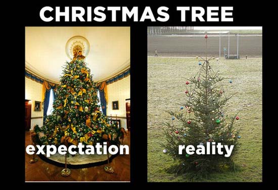 Χριστούγεννα: Προσδοκίες vs Πραγματικότητα (7)