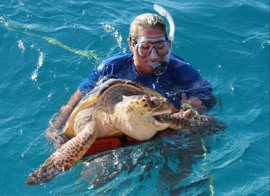 Ασυνήθιστη διάσωση μιας θαλάσσιας χελώνας (1)