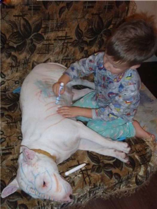 Σοκαριστικές εικόνες με παιδιά και επικίνδυνα ζώα (7)