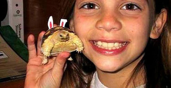 Ένα κορίτσι και η χελώνα της τότε και τώρα (1)