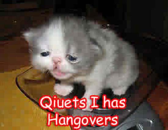 Όταν οι γάτες έχουν Hangover (24)