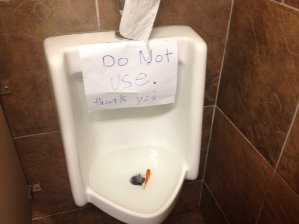 Παρακαλώ μην χρησιμοποιείτε την τουαλέτα | Φωτογραφία της ημέρας