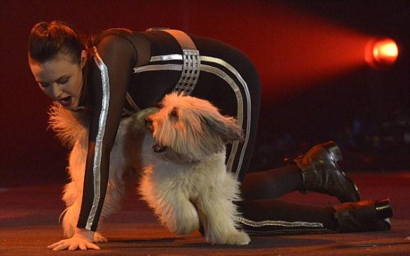 Ο σκύλος που κέρδισε το Britain's Got Talent