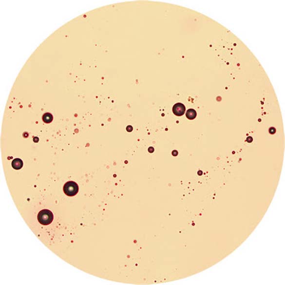 Δημοφιλή ροφήματα κάτω από το μικροσκόπιο (5)