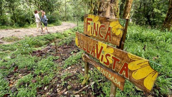 Χωριό από δεντρόσπιτα στη Κόστα Ρίκα (2)