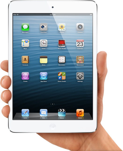 iPad Mini (4)