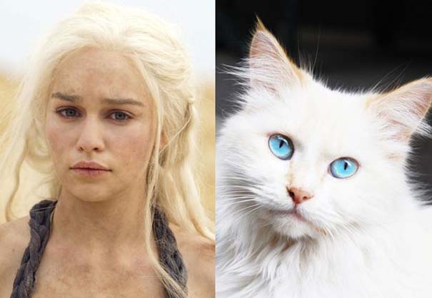 Game Of Thrones: Αν οι πρωταγωνιστές της σειράς ήταν... γάτες (3)