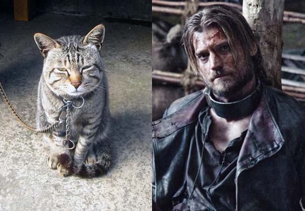 Game Of Thrones: Αν οι πρωταγωνιστές της σειράς ήταν... γάτες (6)