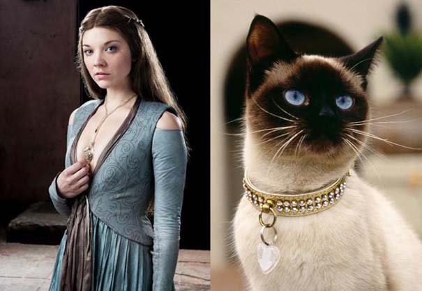 Game Of Thrones: Αν οι πρωταγωνιστές της σειράς ήταν... γάτες (11)