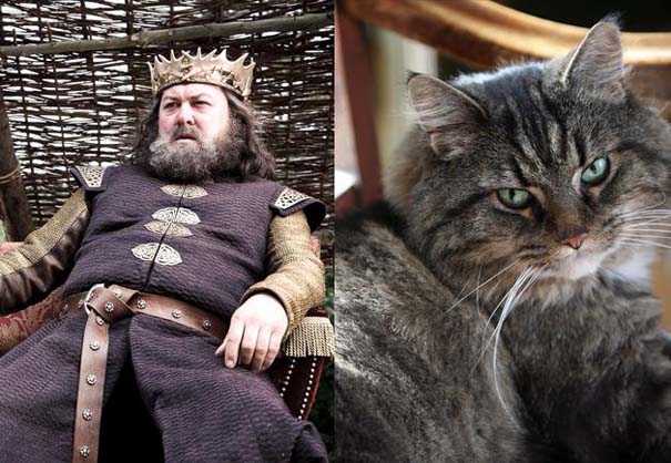 Game Of Thrones: Αν οι πρωταγωνιστές της σειράς ήταν... γάτες (13)