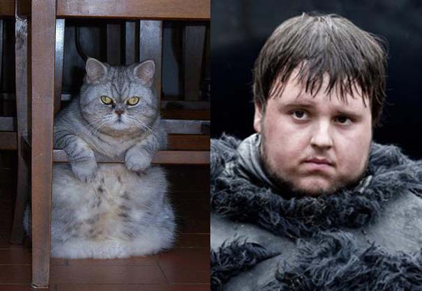 Game Of Thrones: Αν οι πρωταγωνιστές της σειράς ήταν... γάτες (14)