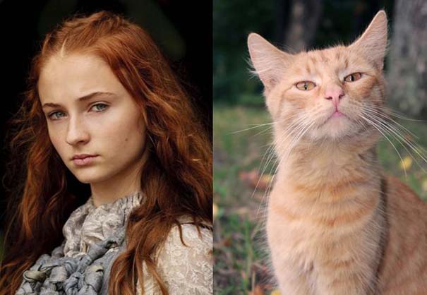 Game Of Thrones: Αν οι πρωταγωνιστές της σειράς ήταν... γάτες (15)