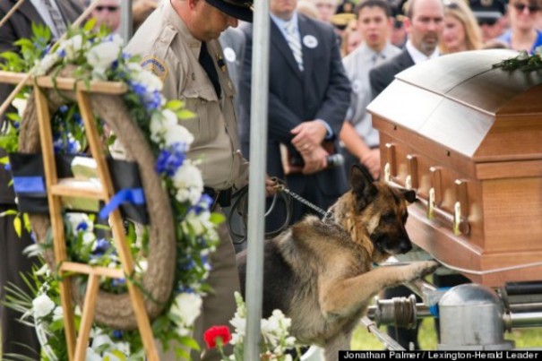 Αστυνομικός σκύλος αποχαιρετά τον συνεργάτη του | Φωτογραφία της ημέρας