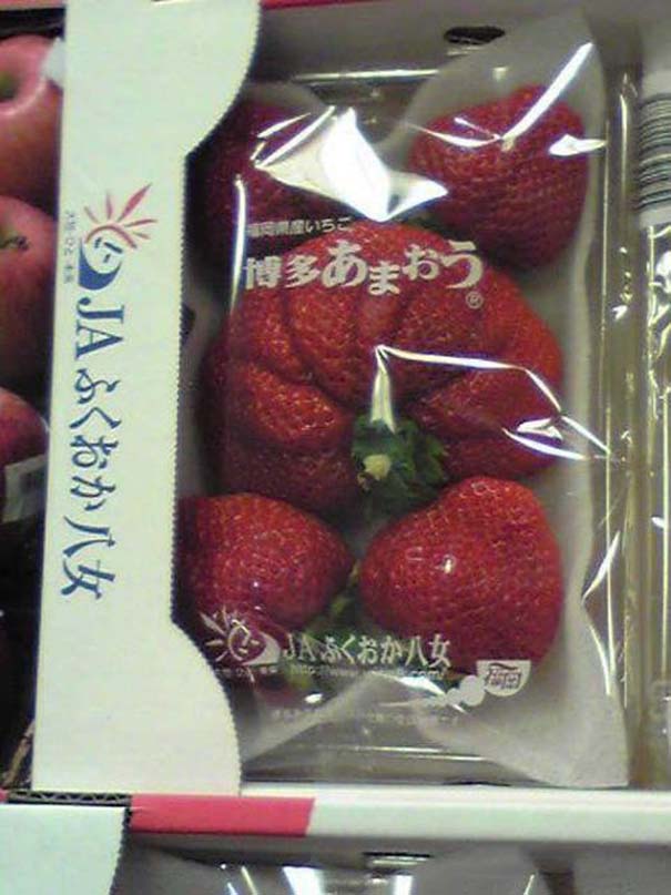 Μεταλλαγμένα προϊόντα από την Φουκουσίμα (21)