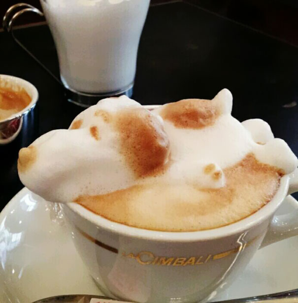 Υπέροχη τέχνη σε καφέ (10)