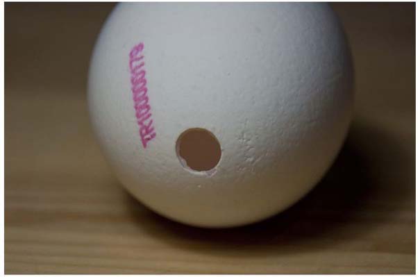 Φωτιστικό αυγό (2)