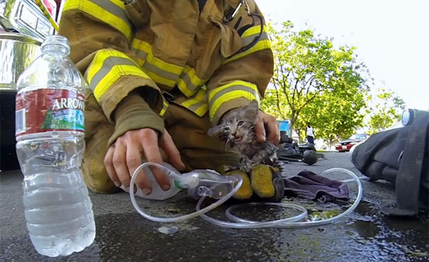 Πυροσβέστης σώζει γατάκι και το βίντεο κάνει τον γύρο του διαδικτύου