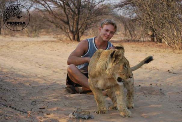 Ο φωτογράφος που έζησε με τα λιοντάρια στην Αφρική (4)