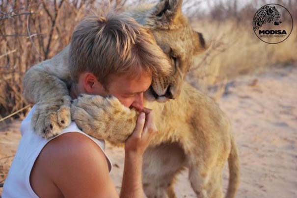 Ο φωτογράφος που έζησε με τα λιοντάρια στην Αφρική (5)